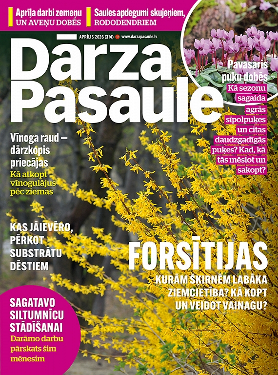 Žurnāls "Dārza Pasaule"