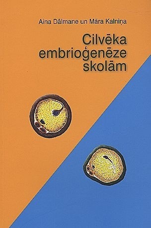 CILVĒKA EMBRIOĢENĒZE SKOLĀM