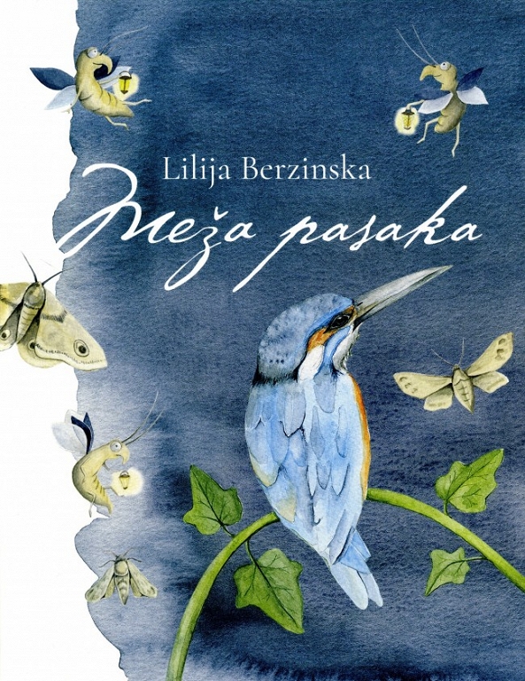 MEŽA PASAKA