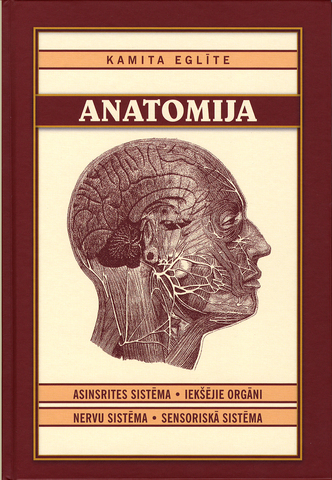 ANATOMIJA 2. daļa