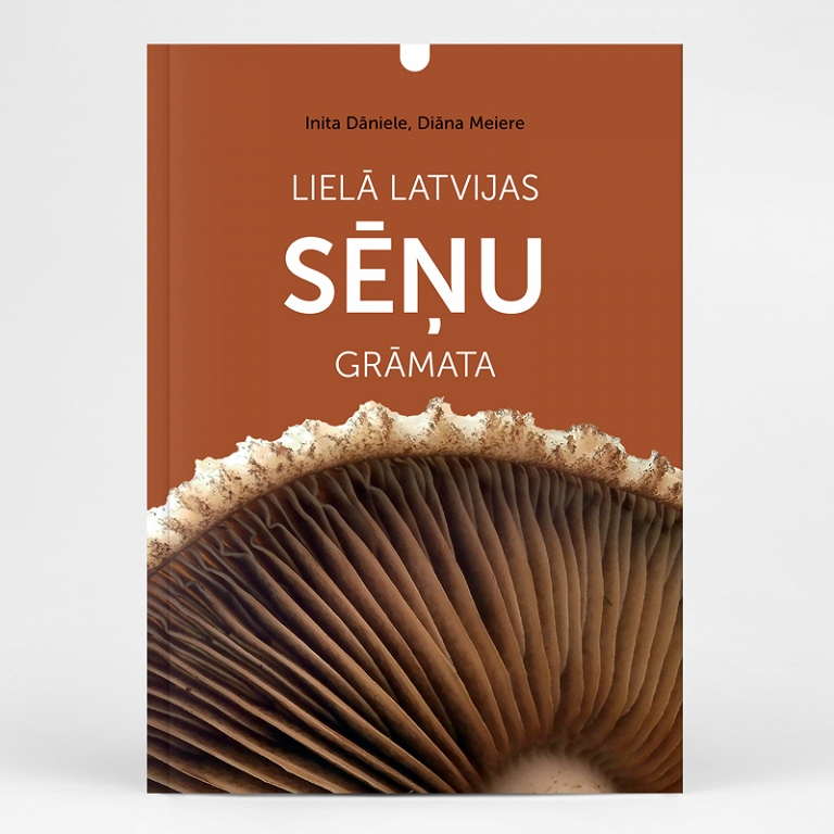 LIELĀ LATVIJAS SĒŅU GRĀMATA