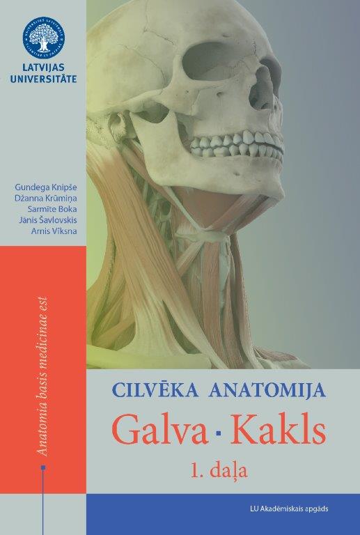 CILVĒKA ANATOMIJA. GALVA. KAKLS 1.DAĻA