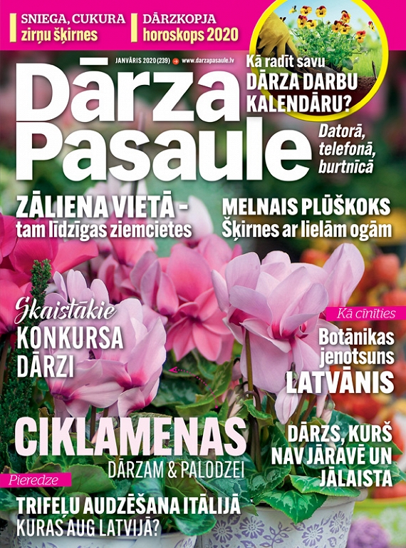 Dārza Pasaule, janvāris 2020