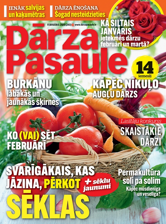 Dārza Pasaule, februāris 2020