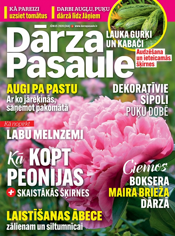 Dārza Pasaule, jūnijs 2020
