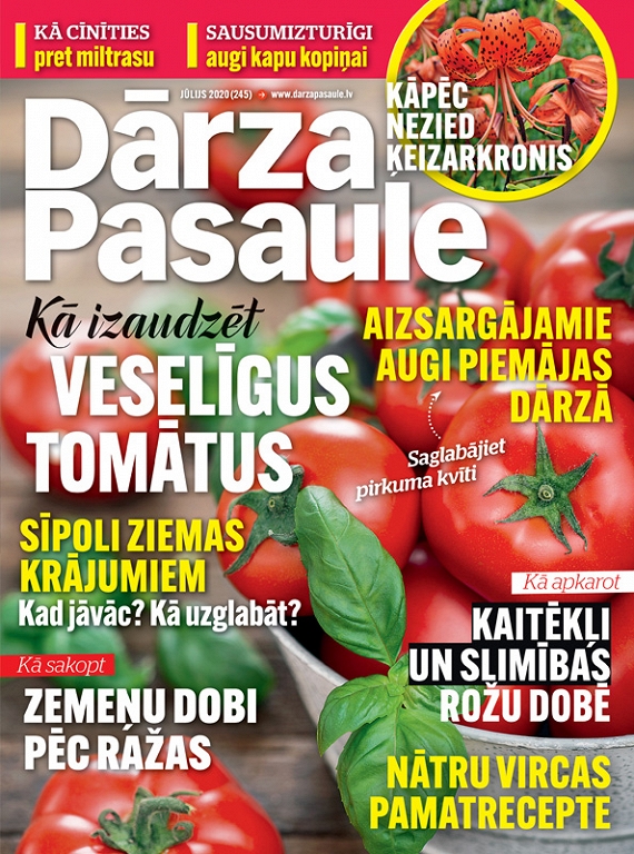 Dārza Pasaule, jūlijs 2020