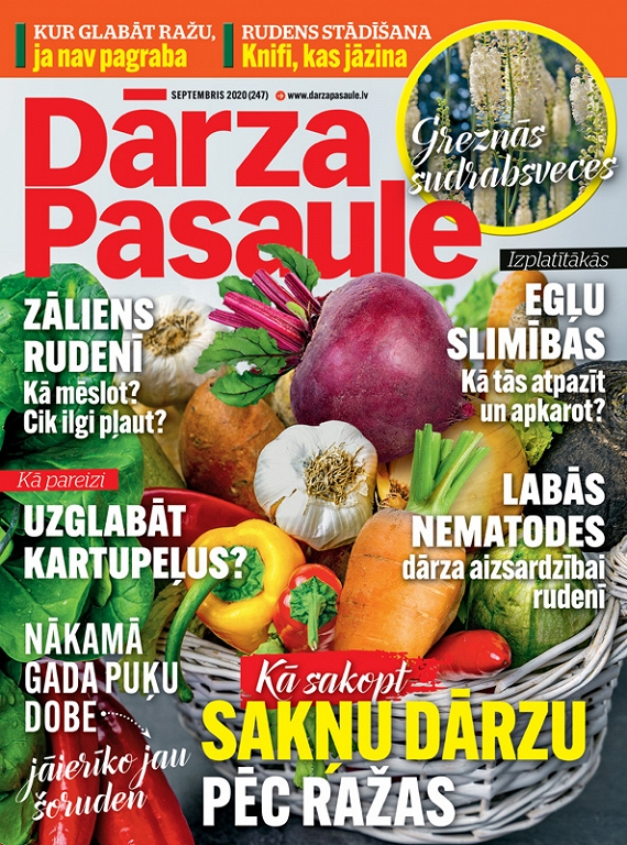 Dārza Pasaule, septembris 2020