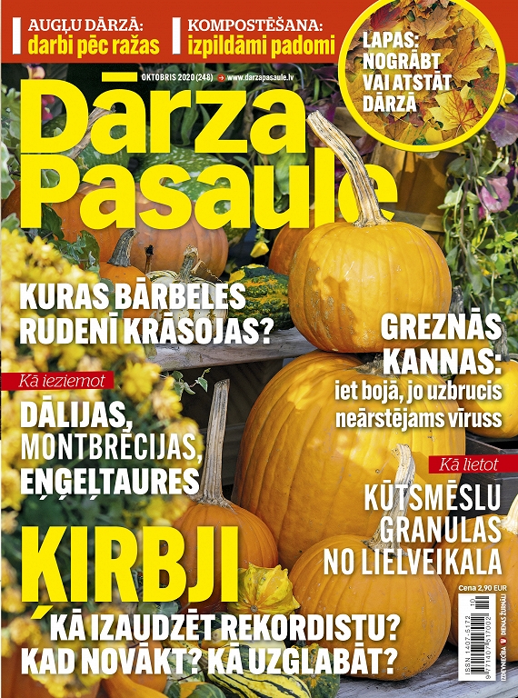 Dārza Pasaule, oktobris 2020