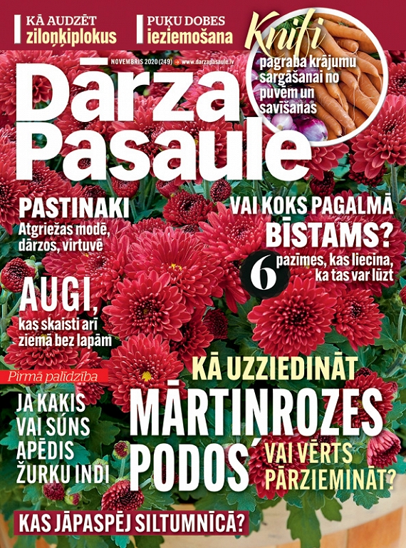 Dārza Pasaule, novembris 2020