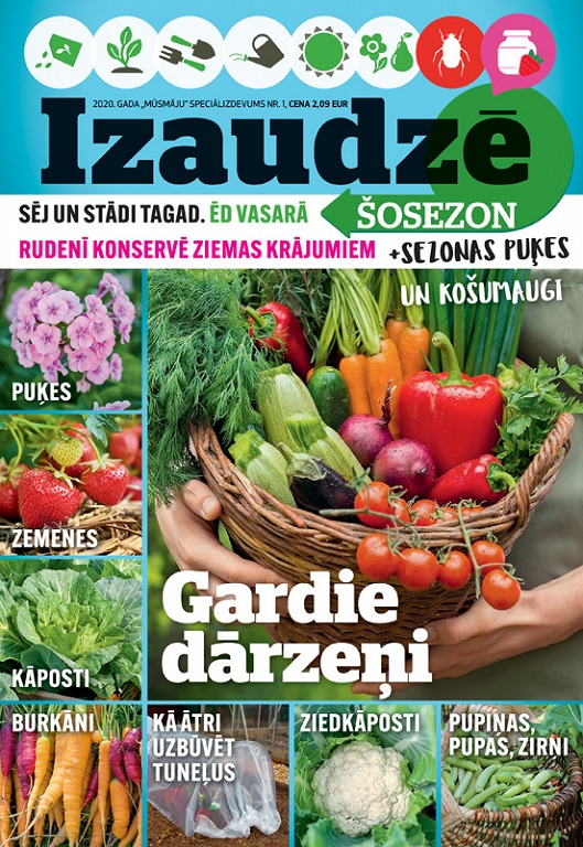 Izaudzē šosezon