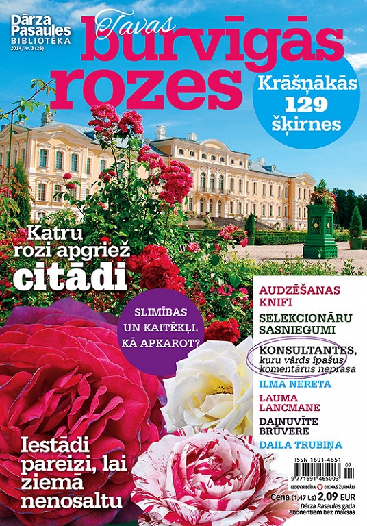 Burvīgās rozes