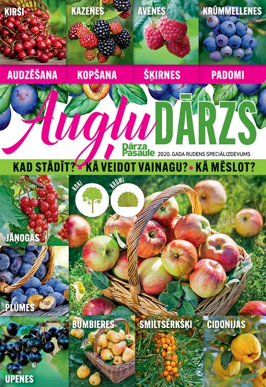 Augļu dārzs