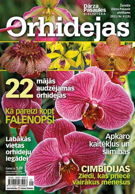 Orhidejas