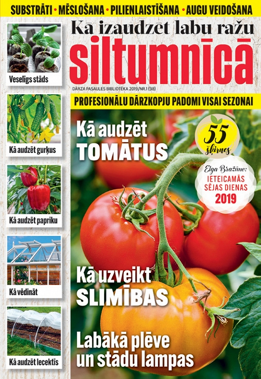 Kā izaudzēt labu ražu siltumnīcā