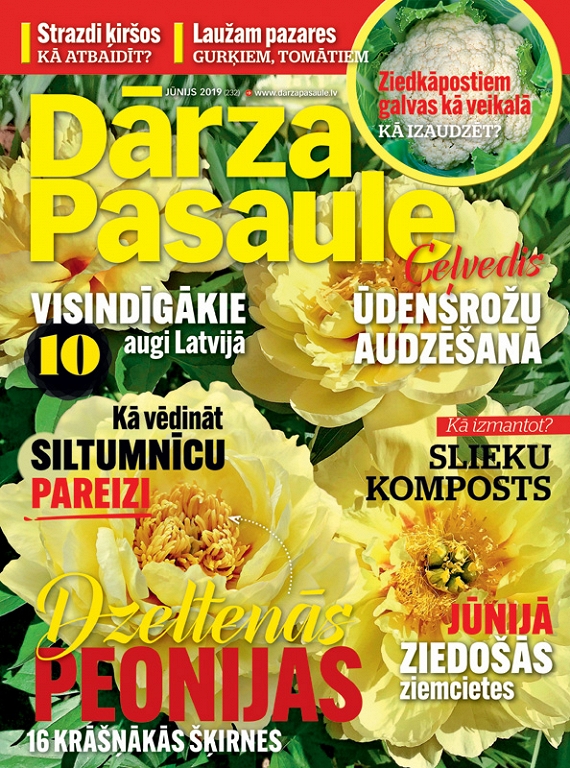 Dārza Pasaule, jūnijs 2019