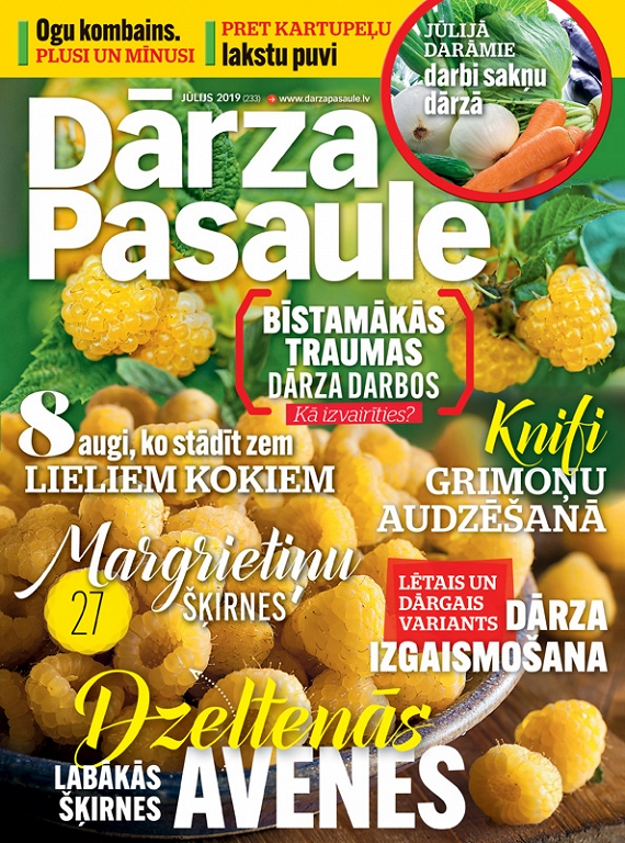 Dārza Pasaule, jūlijs 2019