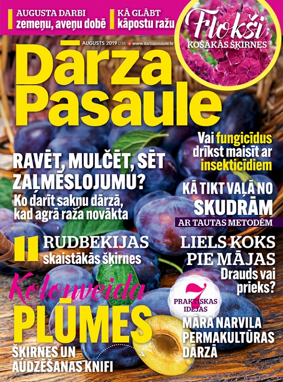 Dārza Pasaule, augusts 2019