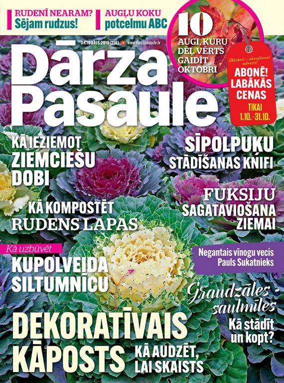 Dārza Pasaule, oktobris 2019