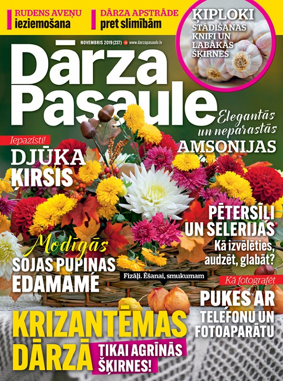 Dārza Pasaule, novembris 2019