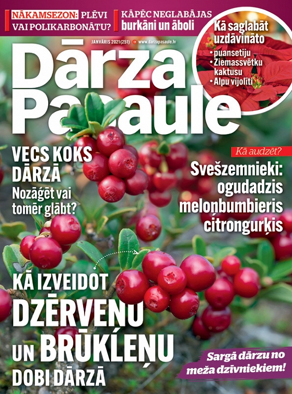 Dārza Pasaule, janvāris 2021