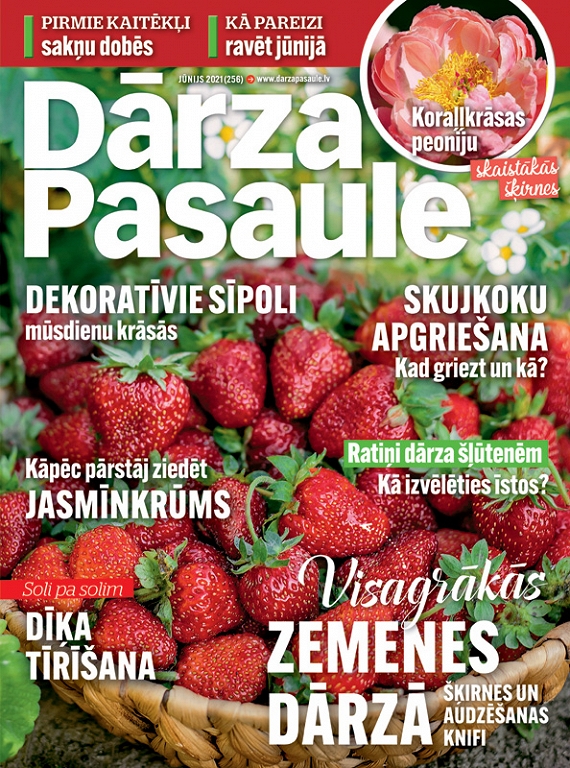 Dārza Pasaule, jūnijs 2021