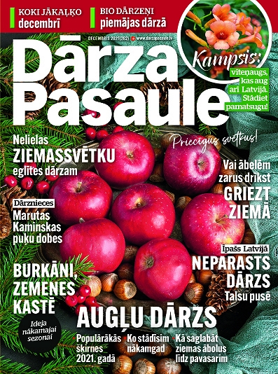 Dārza Pasaule, decembris 2021
