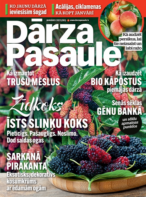 Dārza Pasaule, janvāris 2022