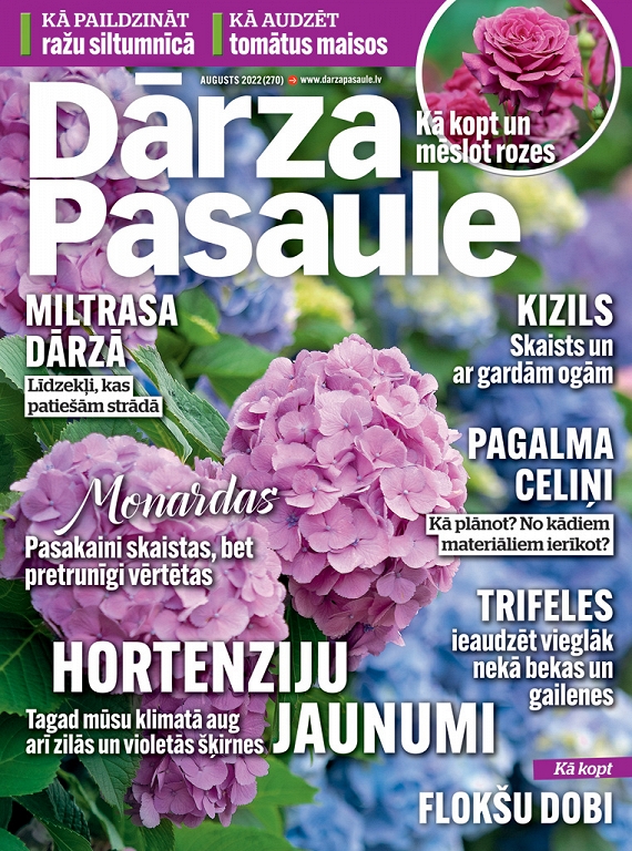 Dārza Pasaule, augusts 2022