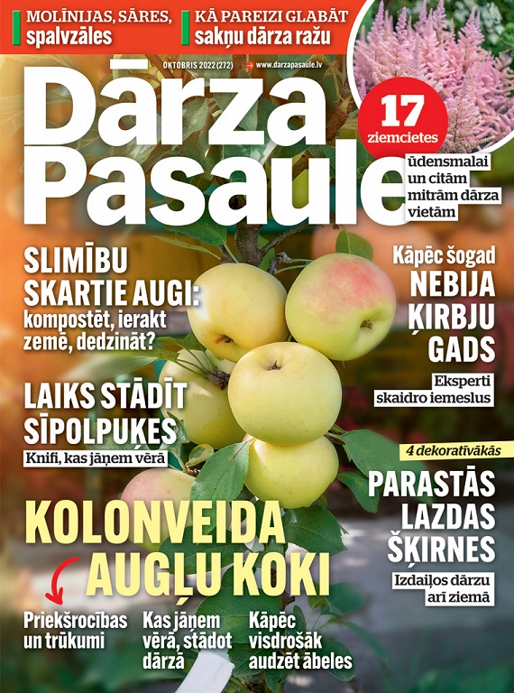 Dārza Pasaule, oktobris 2022