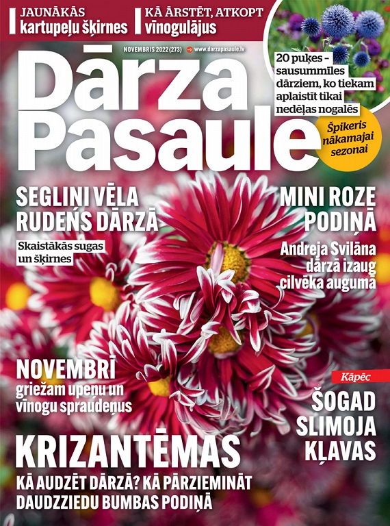 Dārza Pasaule, novembris 2022