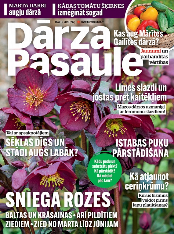Dārza Pasaule, marts 2023