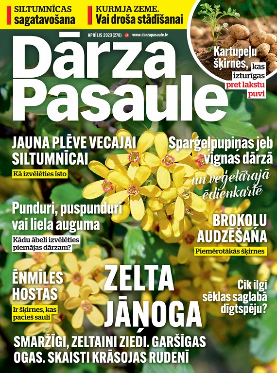 Dārza Pasaule, aprīlis 2023