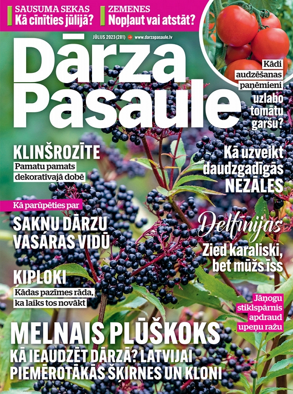 Dārza Pasaule, jūlijs 2023