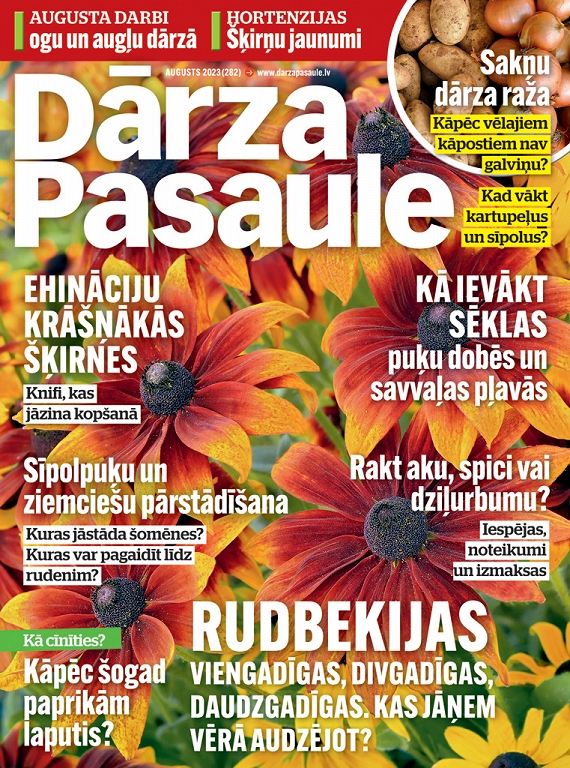 Dārza Pasaule, augusts 2023