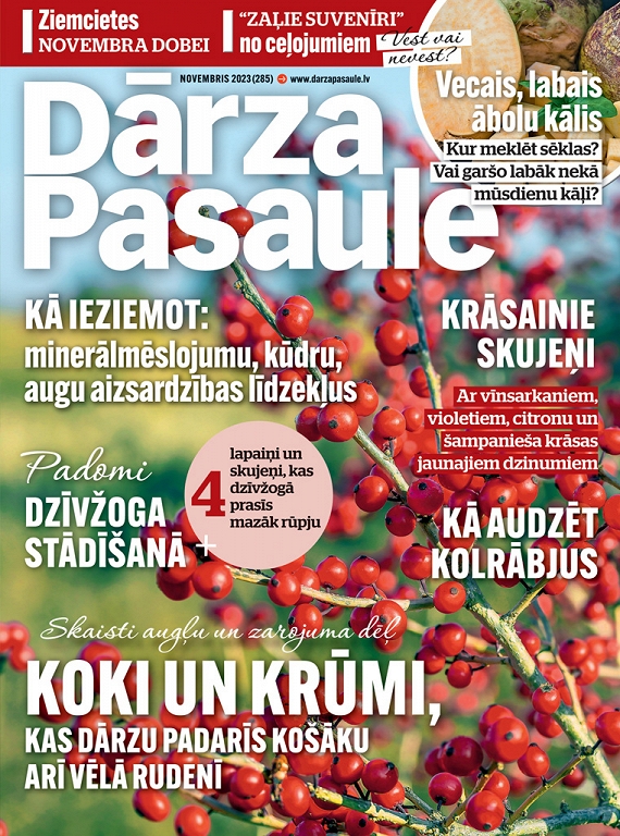 Dārza Pasaule, novembris 2023