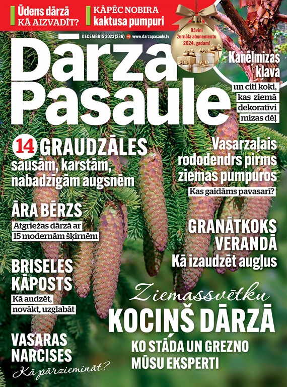 Dārza Pasaule, decembris 2023