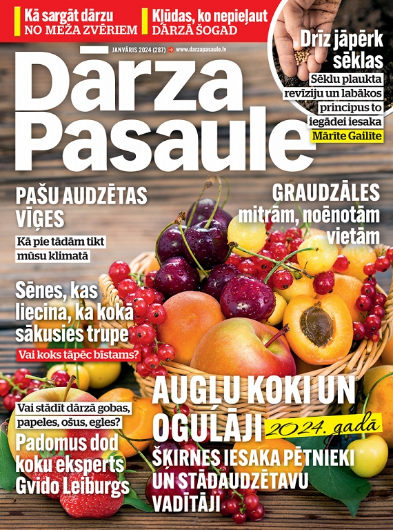 Dārza Pasaule, janvāris 2024
