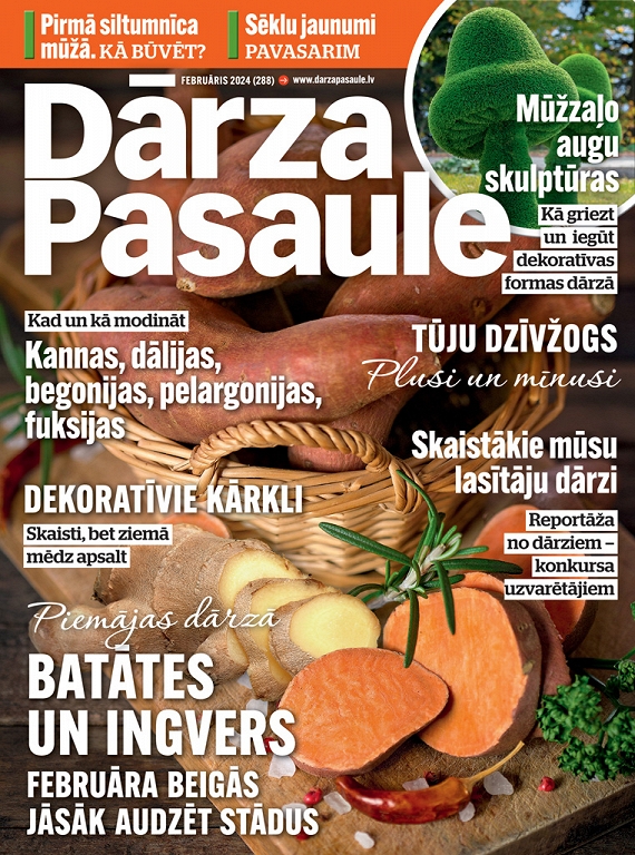 Dārza Pasaule, februāris 2024