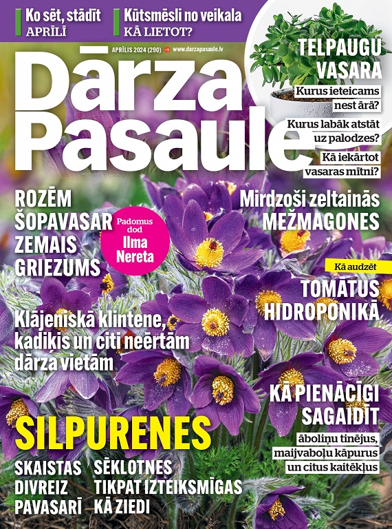 Dārza Pasaule, aprīlis 2024