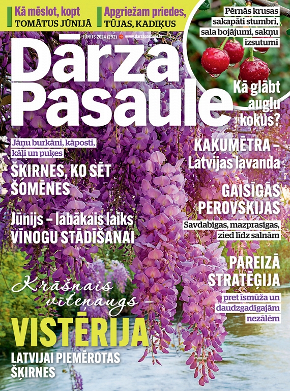 Dārza Pasaule, jūnijs 2024