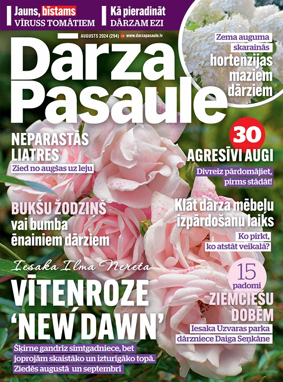 Dārza Pasaule, augusts 2024