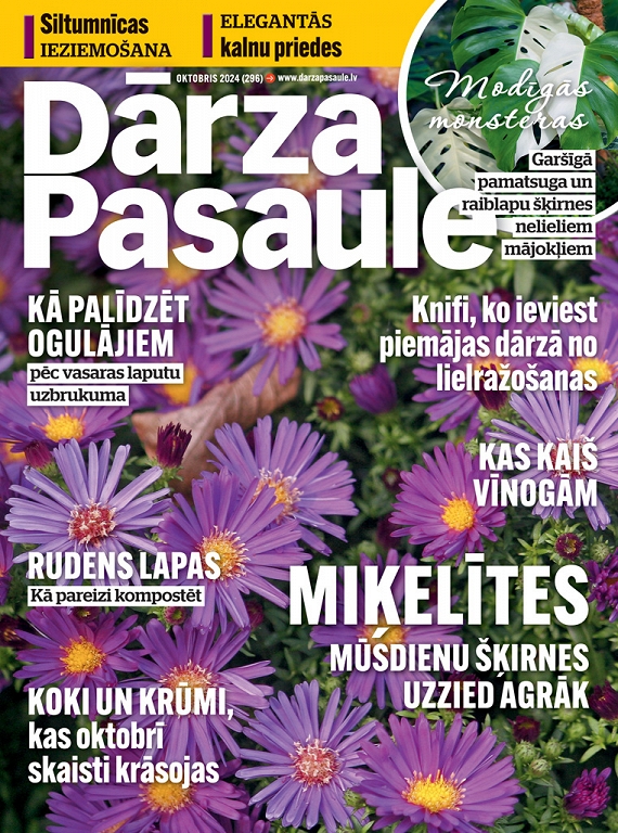 Dārza Pasaule, oktobris 2024