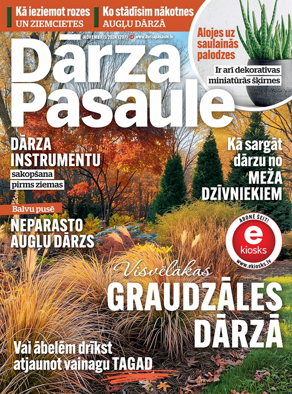 Dārza Pasaule, novembris 2024