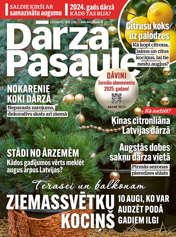 Dārza Pasaule, decembris 2024