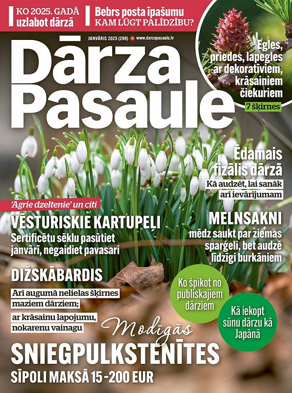 Dārza Pasaule, janvāris 2025