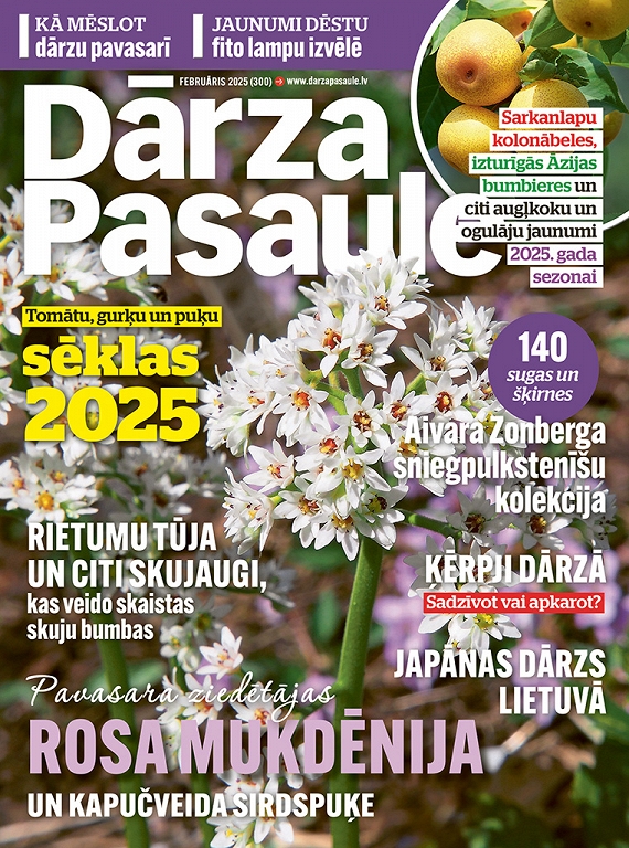 Dārza Pasaule, februāris 2025