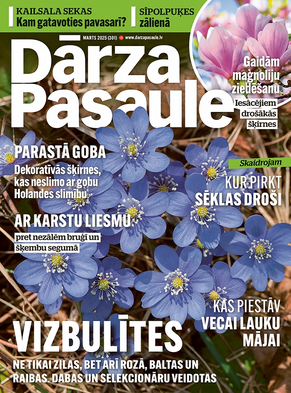 Dārza Pasaule, marts 2025