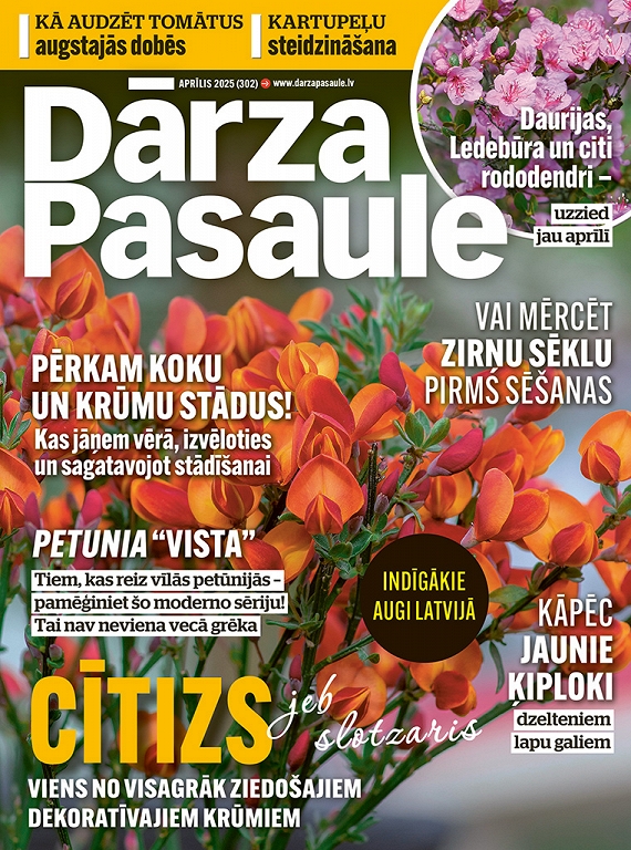 Dārza Pasaule, aprīlis 2025