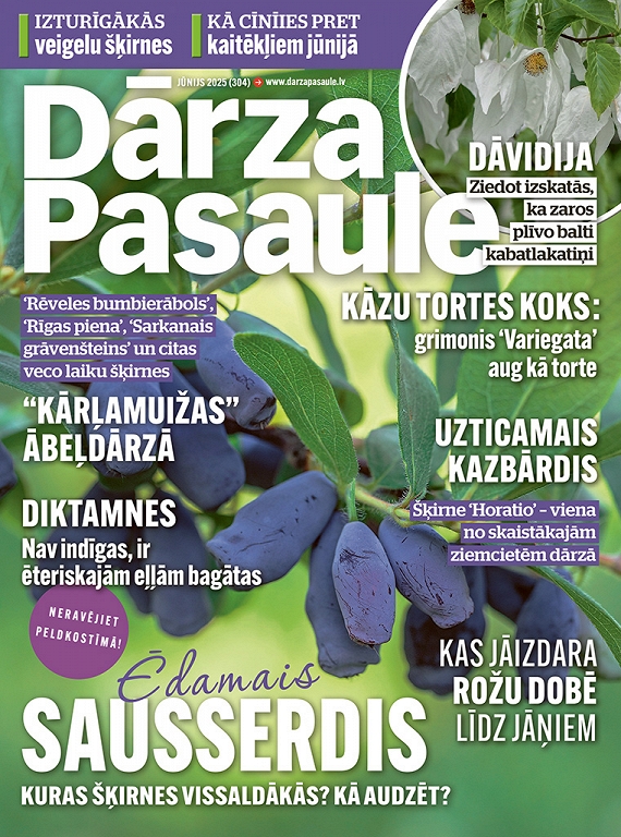 Dārza Pasaule, jūnijs 2025