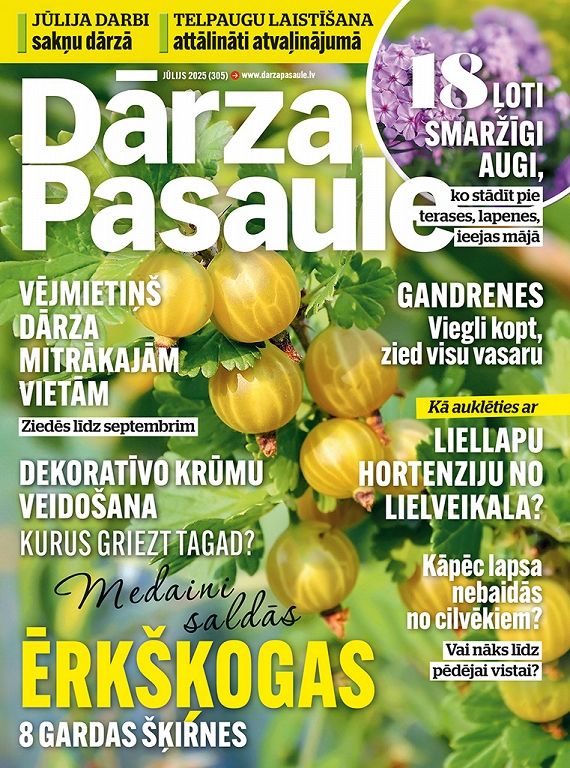 Dārza Pasaule, jūlijs 2025